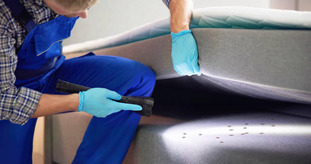 Best Pest Removal Services  in Lemay, MO