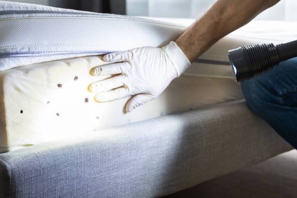Pest Control Cost in Lemay, MO