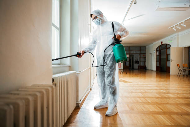Best Best Pest Control Companies  in Lemay, MO